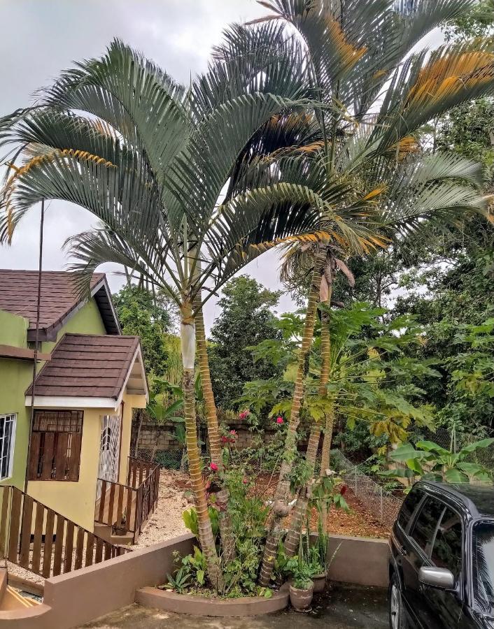 Gables Vacation Rentals With Private Gated Parking Onsite Knockpatrick Екстер'єр фото
