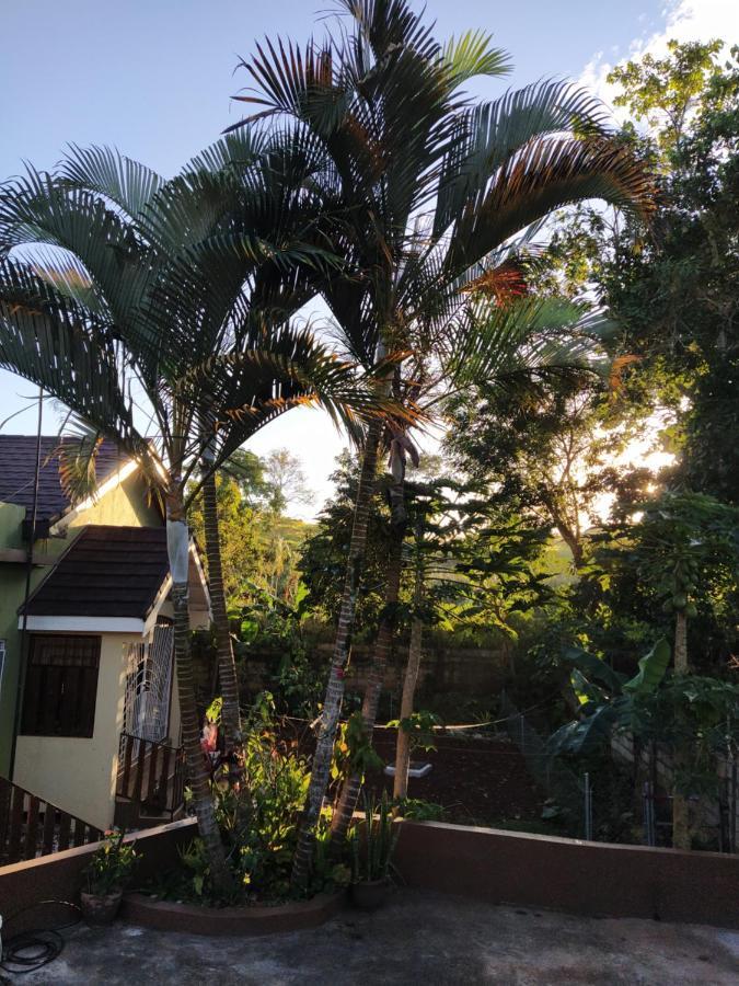 Gables Vacation Rentals With Private Gated Parking Onsite Knockpatrick Екстер'єр фото